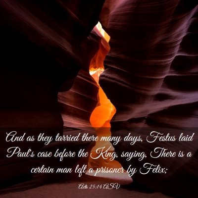 Picture 03 - Acts 25:14 ASV - And as they tarried there many days, Festus laid - Bible Verse Picture