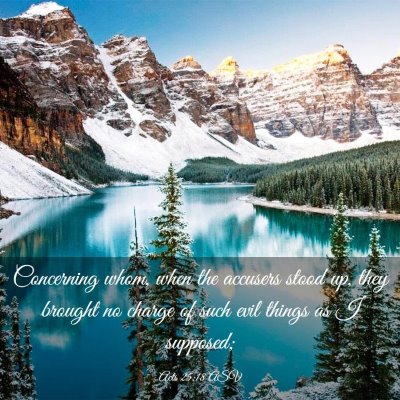 Picture 03 - Acts 25:18 ASV - Concerning whom, when the accusers stood up, they - Bible Verse Picture