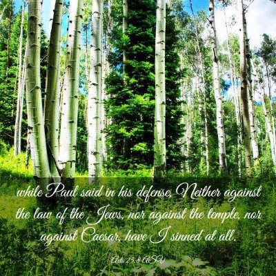 Picture 03 - Acts 25:8 ASV - while Paul said in his defense, Neither against - Bible Verse Picture