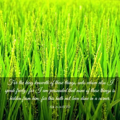 Picture 03 - Acts 26:26 ASV - For the king knoweth of these things, unto whom - Bible Verse Picture