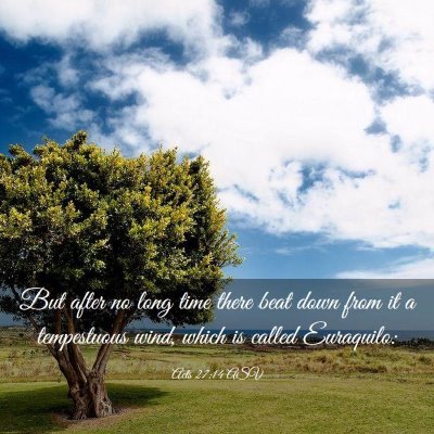 Picture 03 - Acts 27:14 ASV - But after no long time there beat down from it a - Bible Verse Picture