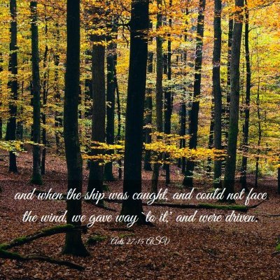 Picture 03 - Acts 27:15 ASV - and when the ship was caught, and could not face - Bible Verse Picture