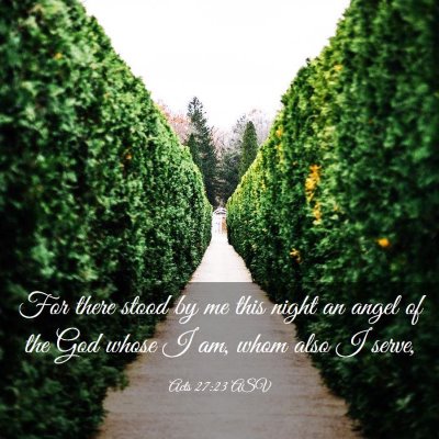 Picture 03 - Acts 27:23 ASV - For there stood by me this night an angel of the - Bible Verse Picture