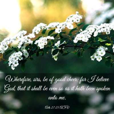 Picture 03 - Acts 27:25 ASV - Wherefore, sirs, be of good cheer: for I believe - Bible Verse Picture