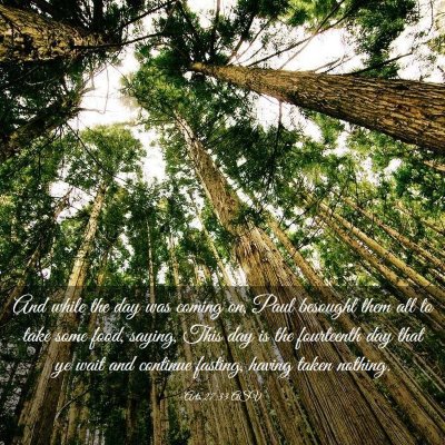Picture 03 - Acts 27:33 ASV - And while the day was coming on, Paul besought - Bible Verse Picture