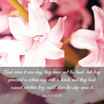 Picture 03 - Acts 27:39 ASV - And when it was day, they knew not the land: but - Bible Verse Picture