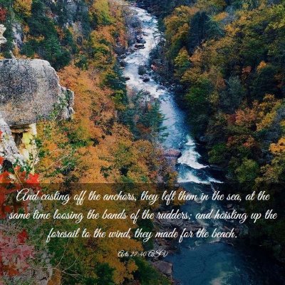 Picture 03 - Acts 27:40 ASV - And casting off the anchors, they left them in - Bible Verse Picture