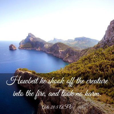 Picture 03 - Acts 28:5 ASV - Howbeit he shook off the creature into the fire, - Bible Verse Picture