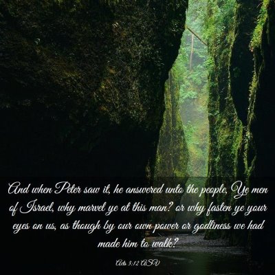 Picture 03 - Acts 3:12 ASV - And when Peter saw it, he answered unto the - Bible Verse Picture