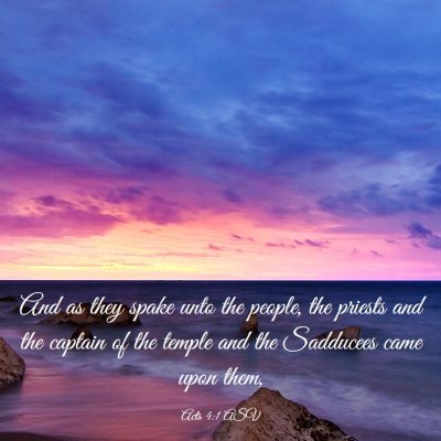 Picture 03 - Acts 4:1 ASV - And as they spake unto the people, the priests - Bible Verse Picture
