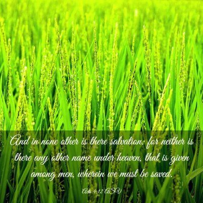 Picture 03 - Acts 4:12 ASV - And in none other is there salvation: for neither - Bible Verse Picture