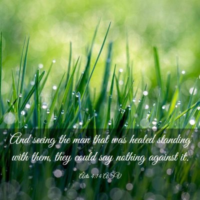 Picture 03 - Acts 4:14 ASV - And seeing the man that was healed standing with - Bible Verse Picture