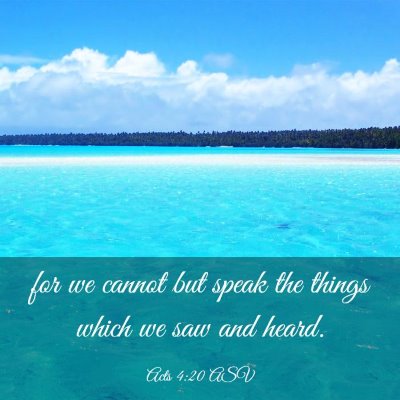 Picture 03 - Acts 4:20 ASV - for we cannot but speak the things which we saw - Bible Verse Picture