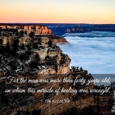 Picture 03 - Acts 4:22 ASV - For the man was more than forty years old, on - Bible Verse Picture