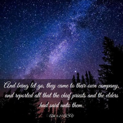 Picture 03 - Acts 4:23 ASV - And being let go, they came to their own company, - Bible Verse Picture
