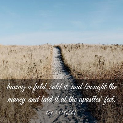 Picture 03 - Acts 4:37 ASV - having a field, sold it, and brought the money - Bible Verse Picture
