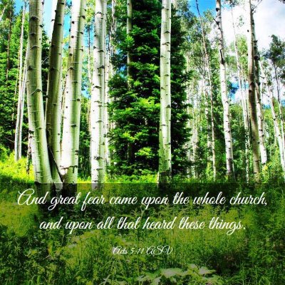 Picture 03 - Acts 5:11 ASV - And great fear came upon the whole church, and - Bible Verse Picture