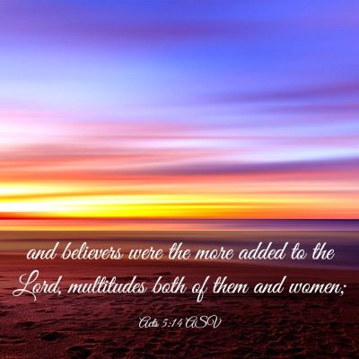 Picture 03 - Acts 5:14 ASV - and believers were the more added to the Lord, - Bible Verse Picture
