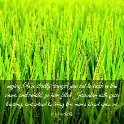 Picture 03 - Acts 5:28 ASV - saying, We strictly charged you not to teach in - Bible Verse Picture