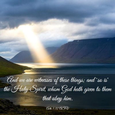 Picture 03 - Acts 5:32 ASV - And we are witnesses of these things; and `so is' - Bible Verse Picture
