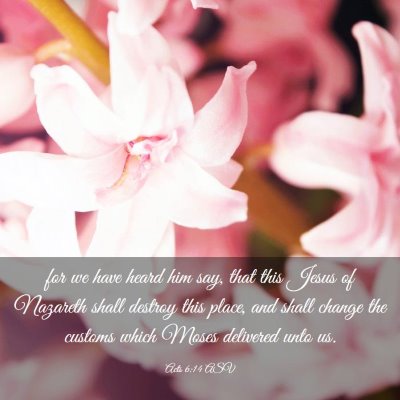 Picture 03 - Acts 6:14 ASV - for we have heard him say, that this Jesus of - Bible Verse Picture