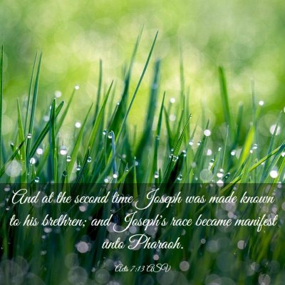 Picture 03 - Acts 7:13 ASV - And at the second time Joseph was made known to - Bible Verse Picture