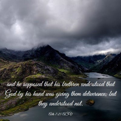 Picture 03 - Acts 7:25 ASV - and he supposed that his brethren understood that - Bible Verse Picture