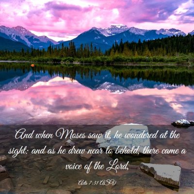 Picture 03 - Acts 7:31 ASV - And when Moses saw it, he wondered at the sight: - Bible Verse Picture