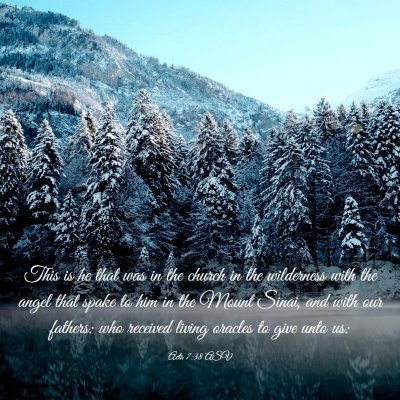 Picture 03 - Acts 7:38 ASV - This is he that was in the church in the - Bible Verse Picture