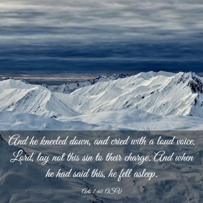 Picture 03 - Acts 7:60 ASV - And he kneeled down, and cried with a loud voice, - Bible Verse Picture