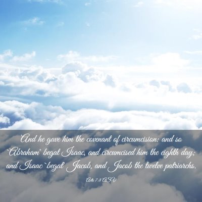 Picture 03 - Acts 7:8 ASV - And he gave him the covenant of circumcision: and - Bible Verse Picture