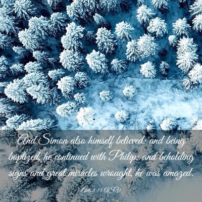 Picture 03 - Acts 8:13 ASV - And Simon also himself believed: and being - Bible Verse Picture