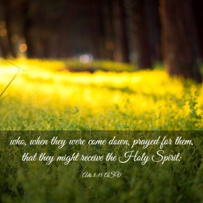 Picture 03 - Acts 8:15 ASV - who, when they were come down, prayed for them, - Bible Verse Picture