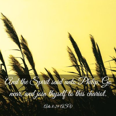 Picture 03 - Acts 8:29 ASV - And the Spirit said unto Philip, Go near, and - Bible Verse Picture