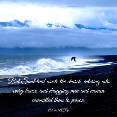Picture 03 - Acts 8:3 ASV - But Saul laid waste the church, entering into - Bible Verse Picture