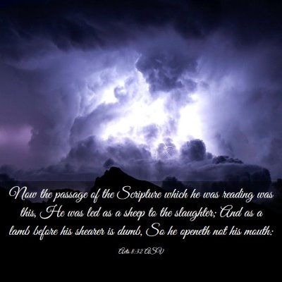 Picture 03 - Acts 8:32 ASV - Now the passage of the Scripture which he was - Bible Verse Picture