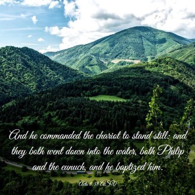 Picture 03 - Acts 8:38 ASV - And he commanded the chariot to stand still: and - Bible Verse Picture