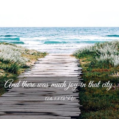 Picture 03 - Acts 8:8 ASV - And there was much joy in that - Bible Verse Picture