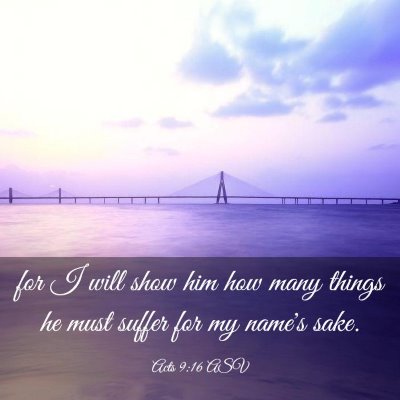 Picture 03 - Acts 9:16 ASV - for I will show him how many things he must - Bible Verse Picture