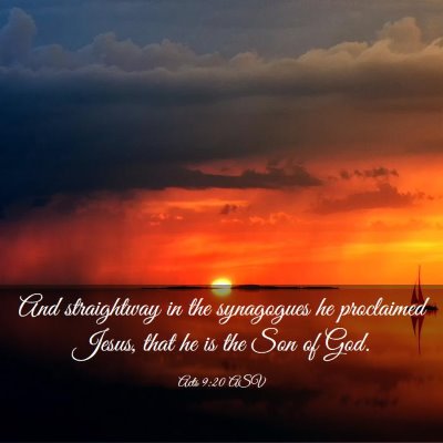 Picture 03 - Acts 9:20 ASV - And straightway in the synagogues he proclaimed - Bible Verse Picture