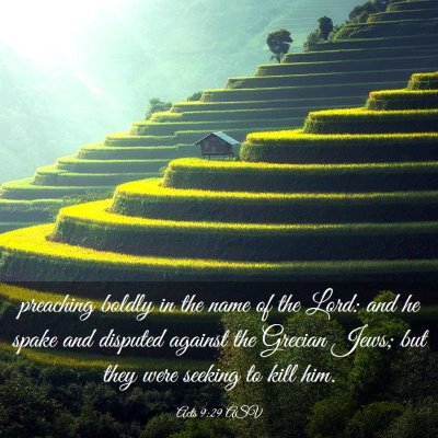 Picture 03 - Acts 9:29 ASV - preaching boldly in the name of the Lord: and he - Bible Verse Picture