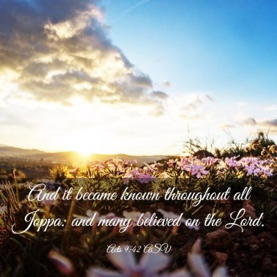 Picture 03 - Acts 9:42 ASV - And it became known throughout all Joppa: and - Bible Verse Picture