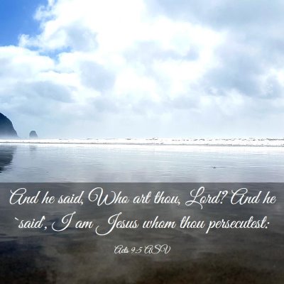 Picture 03 - Acts 9:5 ASV - And he said, Who art thou, Lord? And he `said', I - Bible Verse Picture