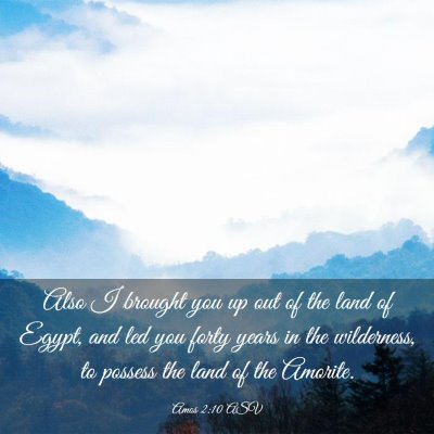 Picture 03 - Amos 2:10 ASV - Also I brought you up out of the land of Egypt, - Bible Verse Picture