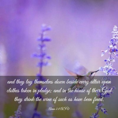 Picture 03 - Amos 2:8 ASV - and they lay themselves down beside every altar - Bible Verse Picture