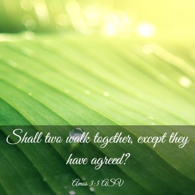 Picture 03 - Amos 3:3 ASV - Shall two walk together, except they have - Bible Verse Picture
