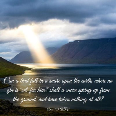 Picture 03 - Amos 3:5 ASV - Can a bird fall in a snare upon the earth, where - Bible Verse Picture