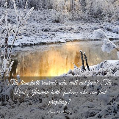 Picture 03 - Amos 3:8 ASV - The lion hath roared; who will not fear? The Lord - Bible Verse Picture