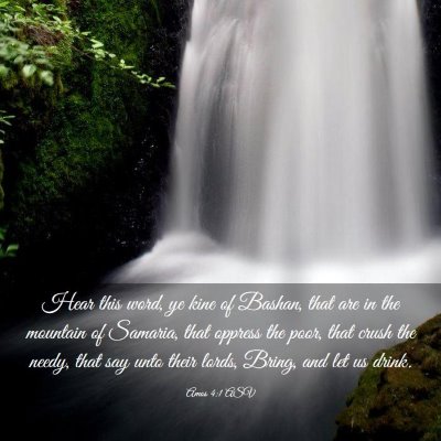 Picture 03 - Amos 4:1 ASV - Hear this word, ye kine of Bashan, that are in - Bible Verse Picture