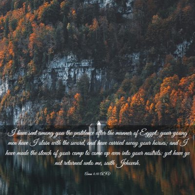 Picture 03 - Amos 4:10 ASV - I have sent among you the pestilence after the - Bible Verse Picture